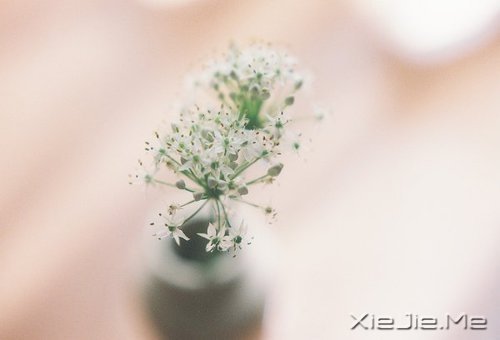 每个人都有自己的人生，冷暖自知 (3)