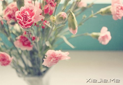 每个人都有自己的人生，冷暖自知 (7)