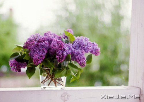 有的人你看了一眼，却惦念了一生 (2)