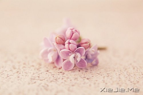 幸福应该是来得巧，而不是来得多 (1)