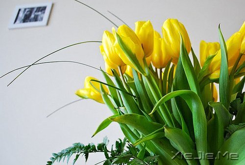 幸福应该是来得巧，而不是来得多 (2)