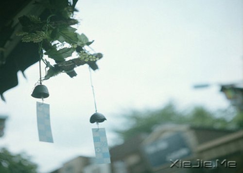 当眼泪流尽的时候，留下来的应该是坚强 (4)
