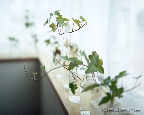 当眼泪流尽的时候，留下来的应该是坚强 (5)