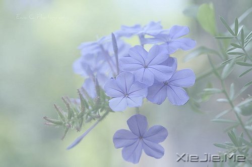 适当的放弃，是人生优雅的转身 (6)