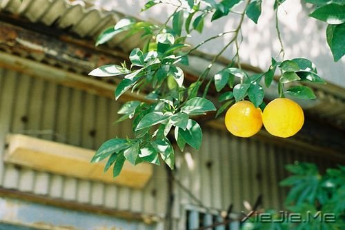 晚安心语：拥有的越少，就越懂得去珍惜 (5)