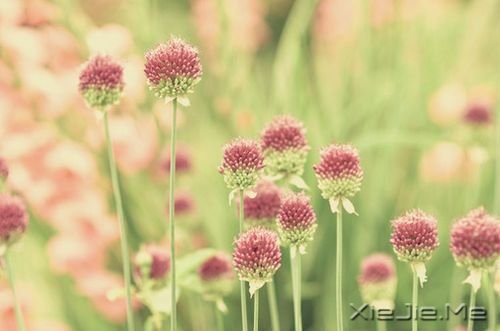 要么混日子等老，要么拼命赢未来
