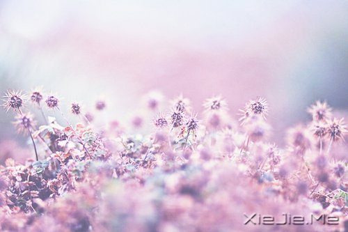 不是世界不好，而是你见得太少