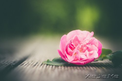 别人越快的时候，你越要慢